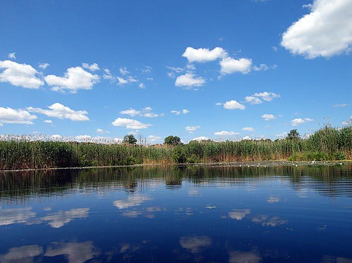 Красна Лука з panoramio.com - Красна Лука