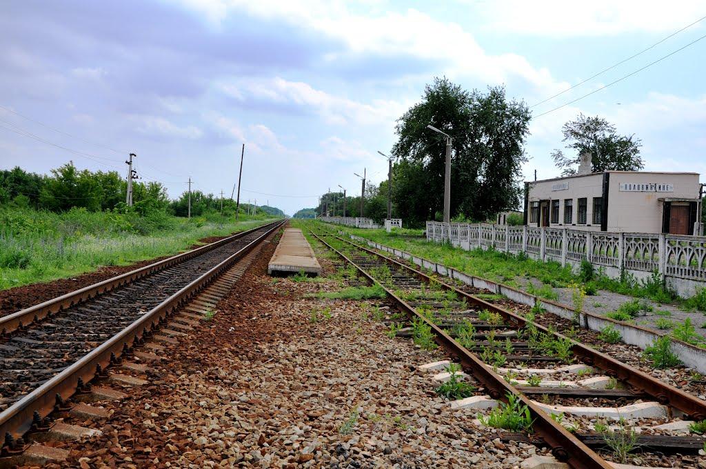 Половинкине з panoramio.com - Половинкине