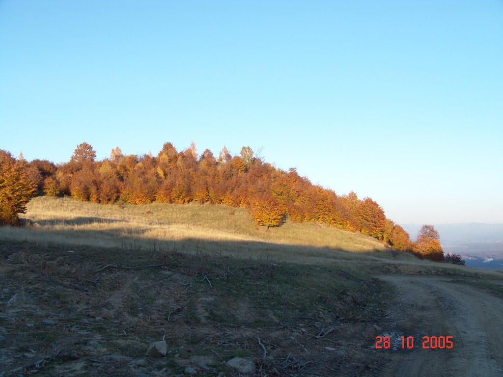 Тячів з panoramio.com - Тячев