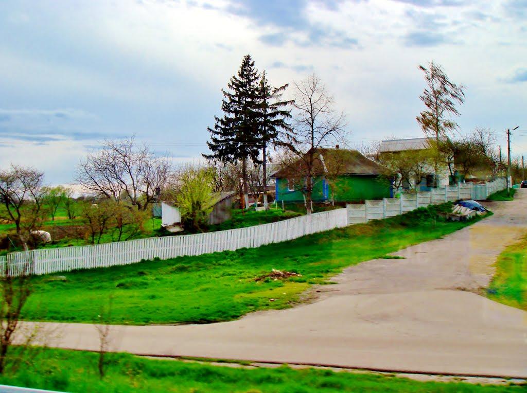 Ксаверівка з panoramio.com - Ксаверівка