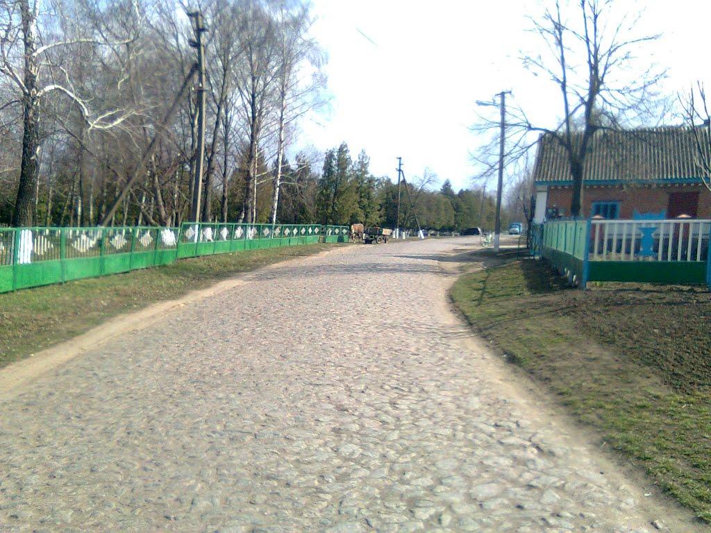 Краснопілка з panoramio.com - Краснополка