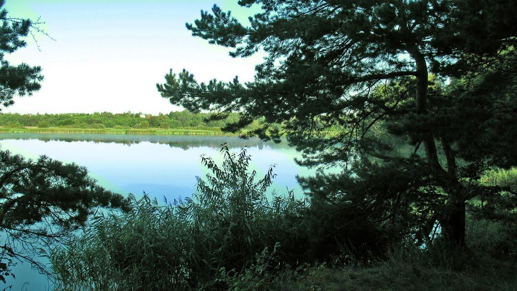 Тетерівка з panoramio.com - Тетерівка