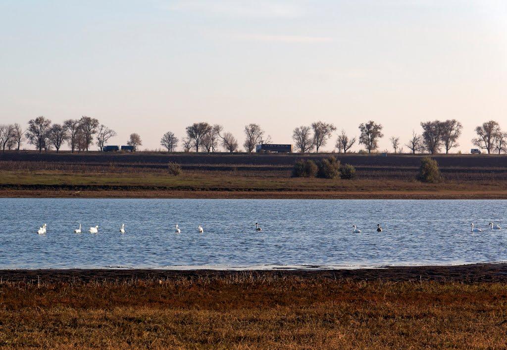 Новоюлівка з panoramio.com - Новоюловка