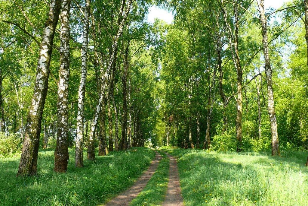 Великий Любінь з panoramio.com - Великий Любінь