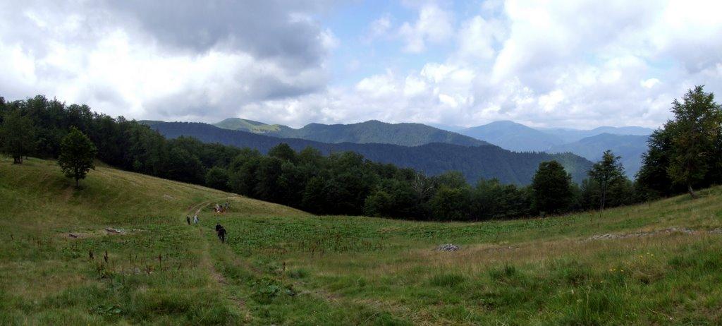Усть-Чорна з panoramio.com - Усть-Чорна