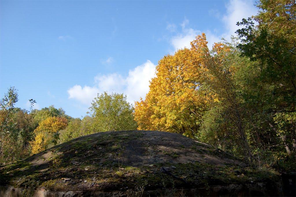 Лисогора з panoramio.com - Лисогора