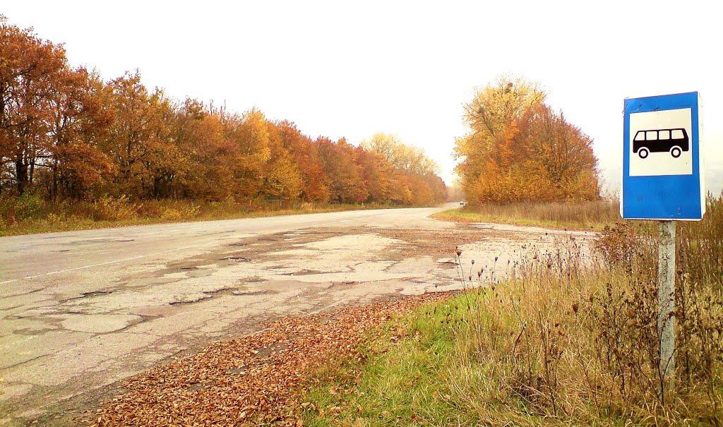 Куряни з panoramio.com - Куряны