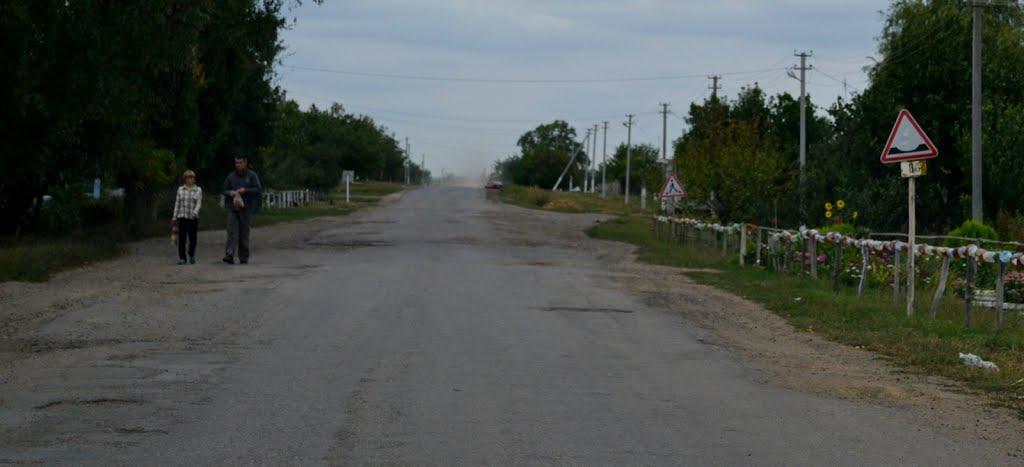 Шеметове з panoramio.com - Шеметове