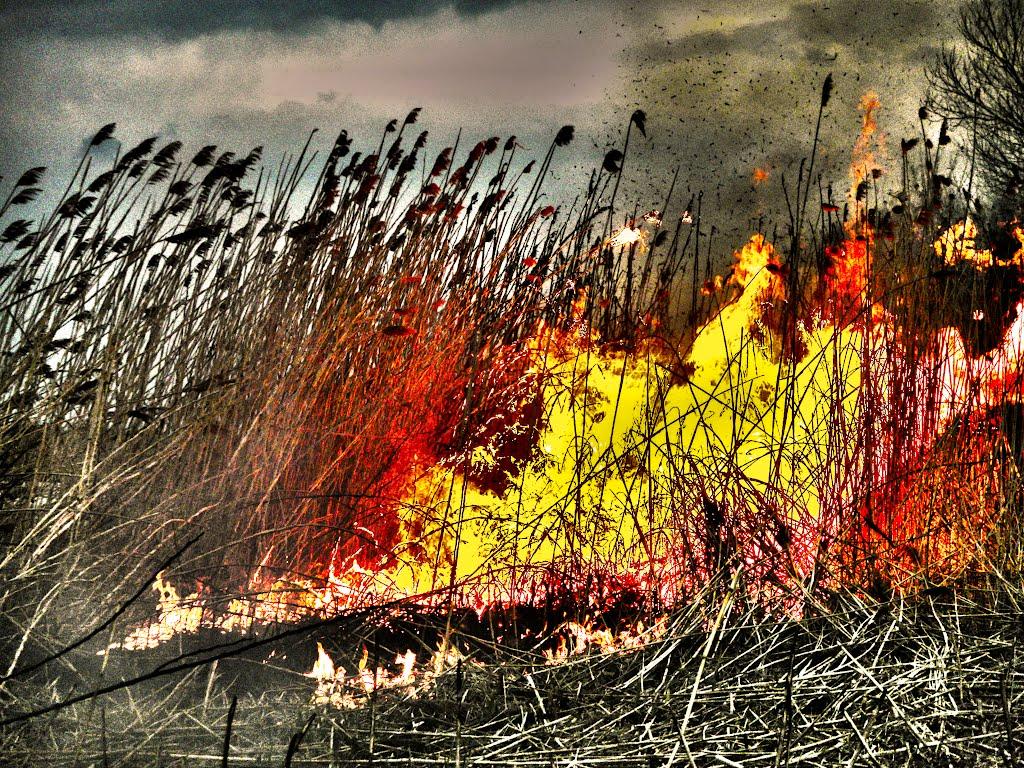 Турійськ з panoramio.com - Турийск