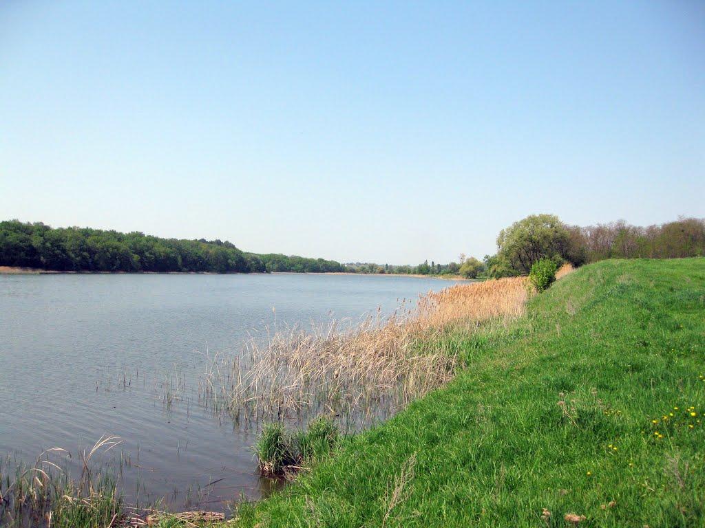 Трубіївка з panoramio.com - Трубіївка