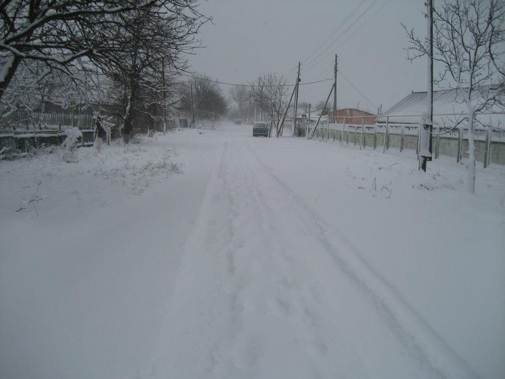 Лучинське з panoramio.com - Лучинское