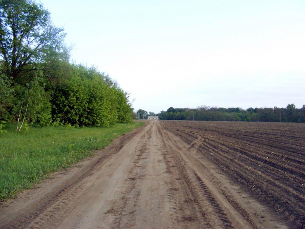 Марківці з panoramio.com - Марковцы