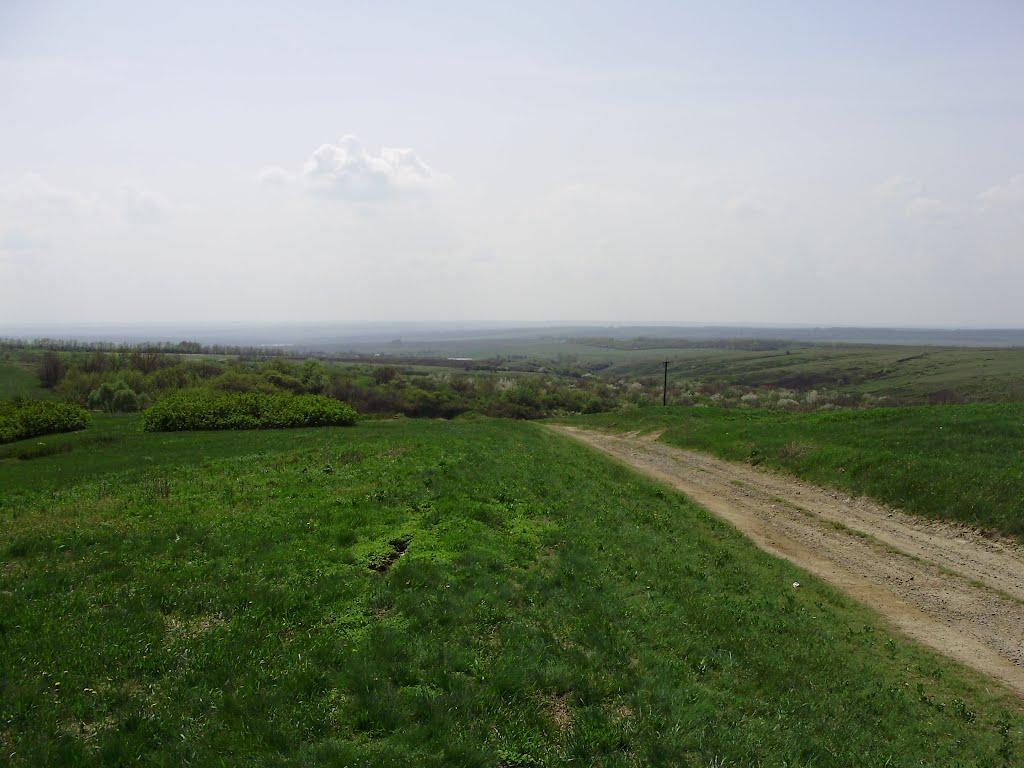 Новозванівка з panoramio.com - Новозвановка