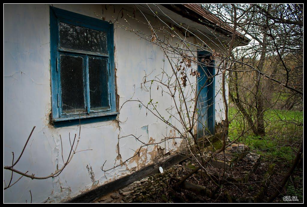 Великі Сади з panoramio.com - Великі Сади