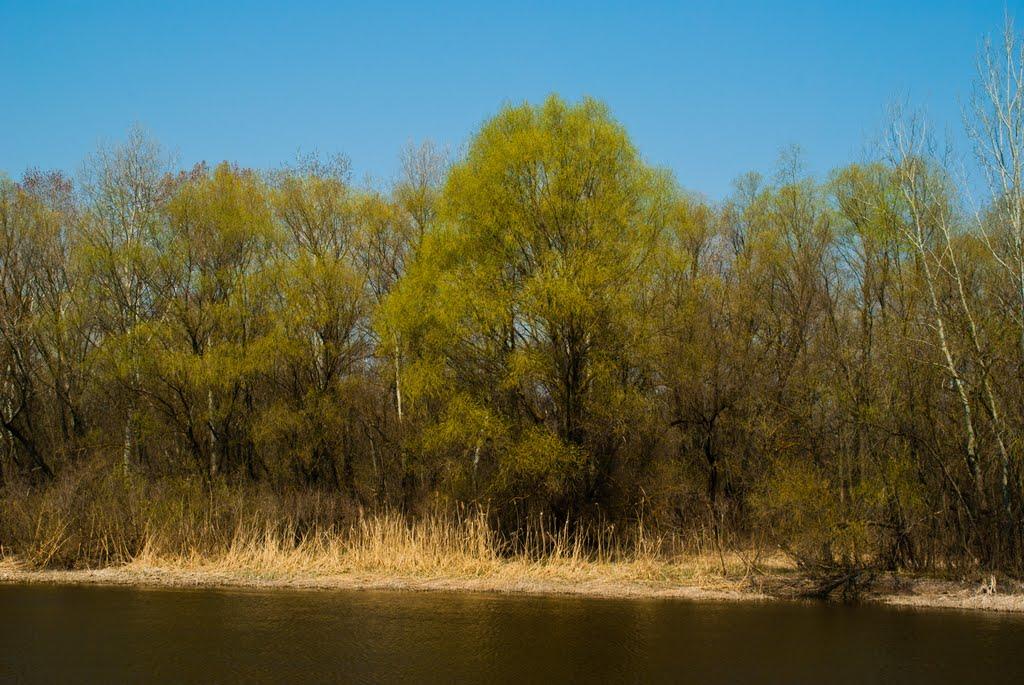 Потоки з panoramio.com - Потоки