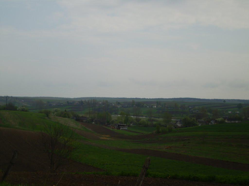 Жорнище з panoramio.com - Жорнище