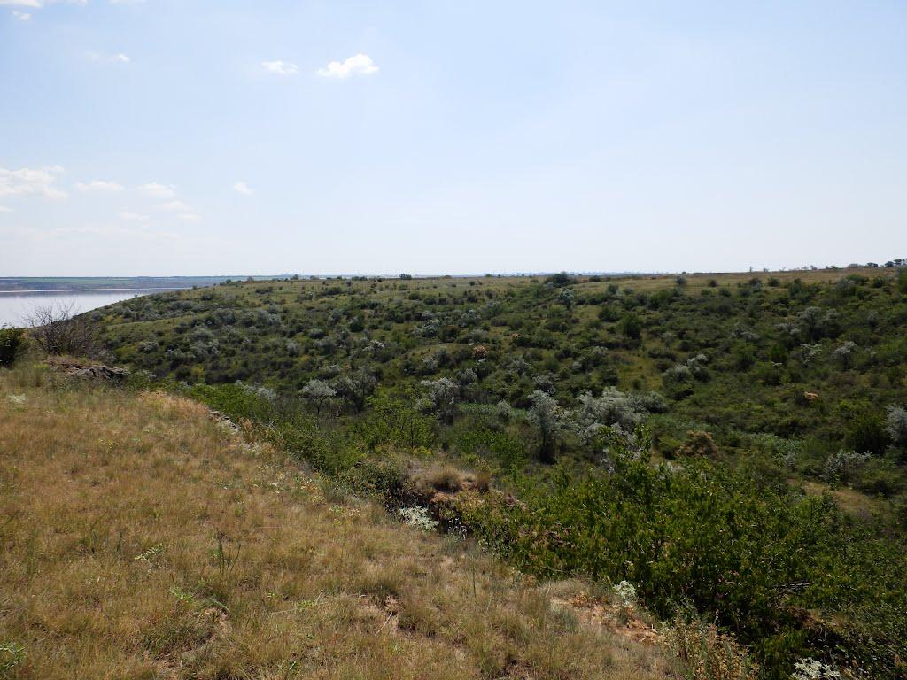 Августівка з panoramio.com - Августівка