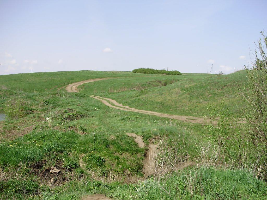 Новозванівка з panoramio.com - Новозвановка