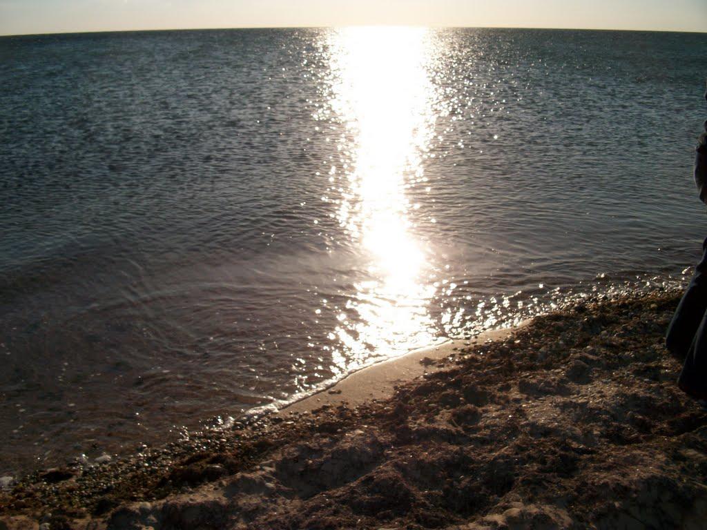 Молочне з panoramio.com - Молочне