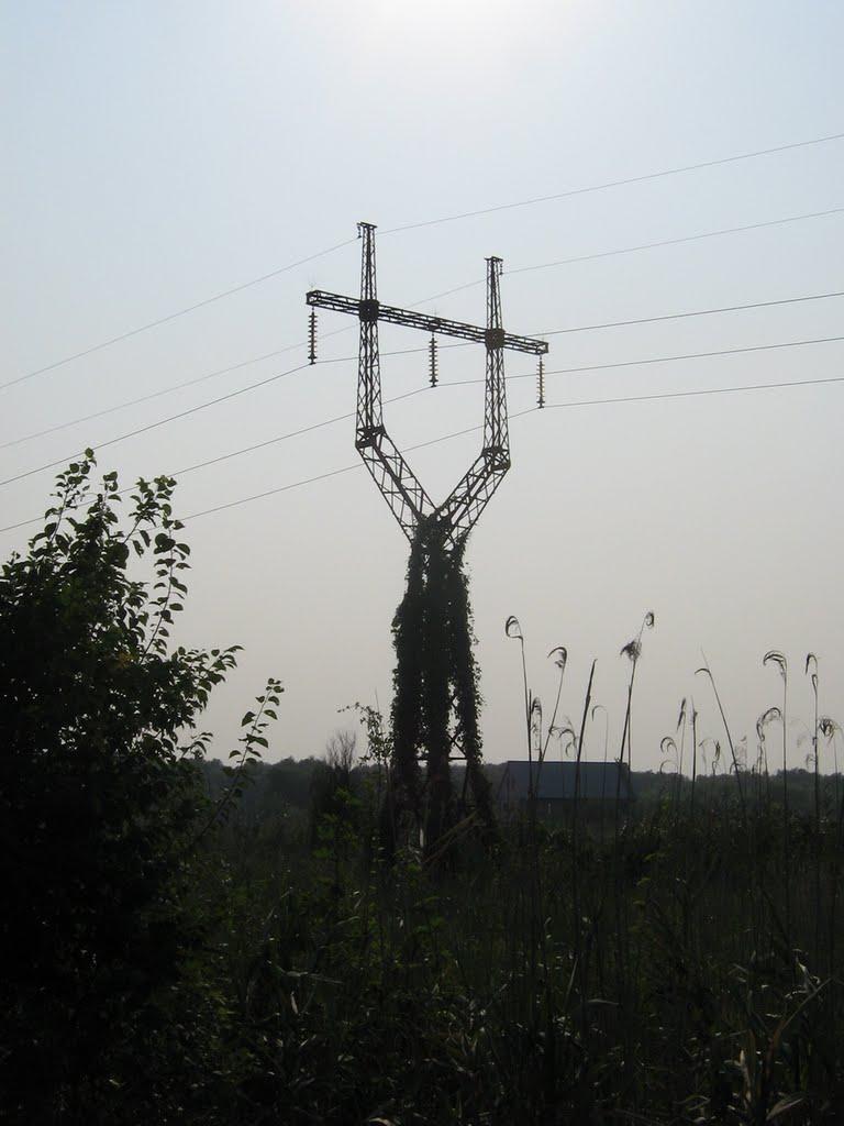 Біляївка з panoramio.com - Беляевка