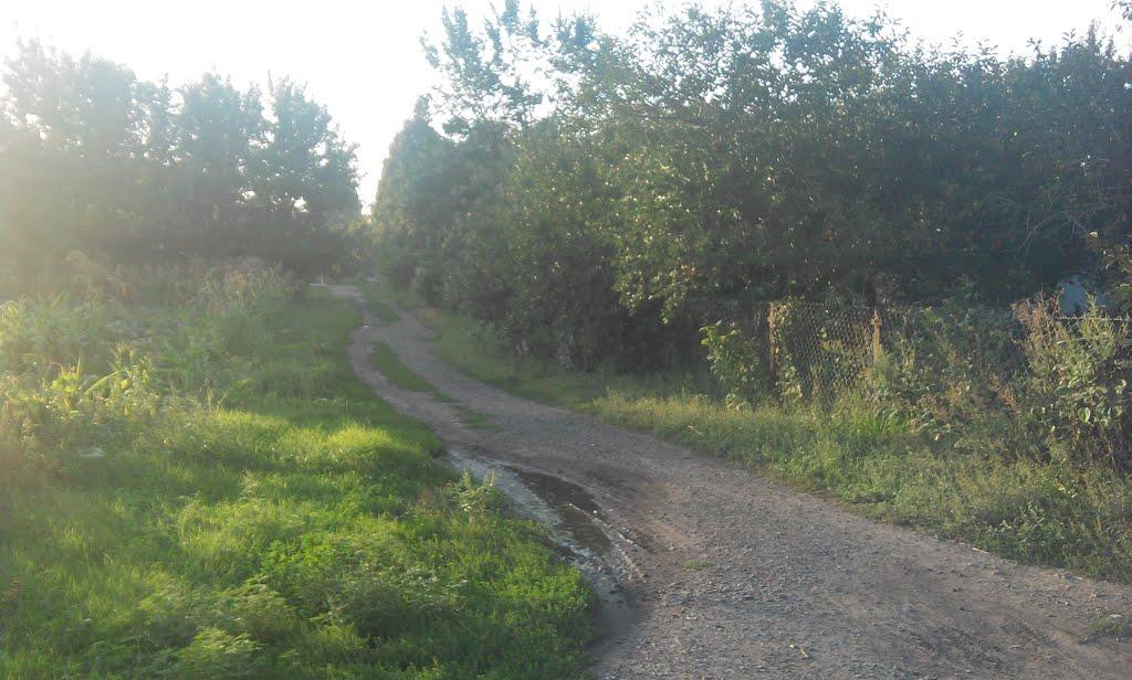 Филенкове з panoramio.com - Филенково