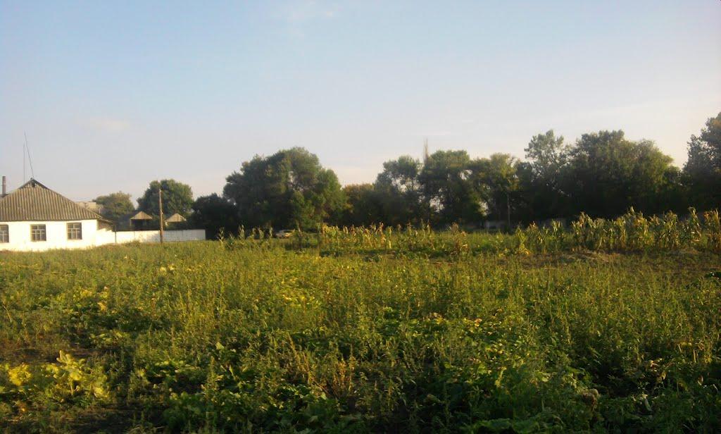 Филенкове з panoramio.com - Филенково