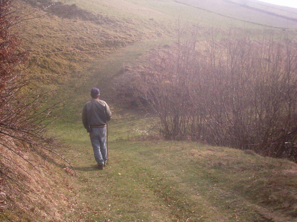 Косівська Поляна з panoramio.com - Косівська Поляна