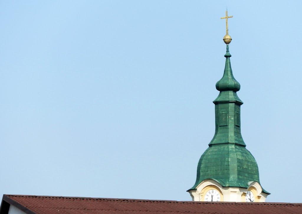 Малі Селменці з panoramio.com - Малые Селлменцы
