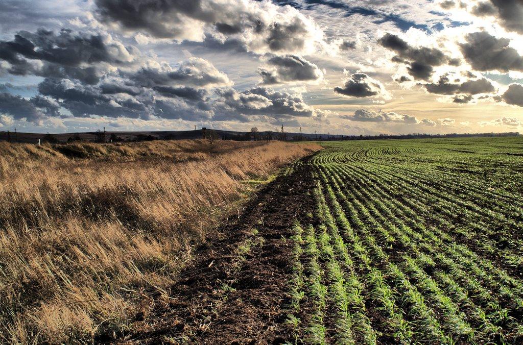 Завітне з panoramio.com - Заветное