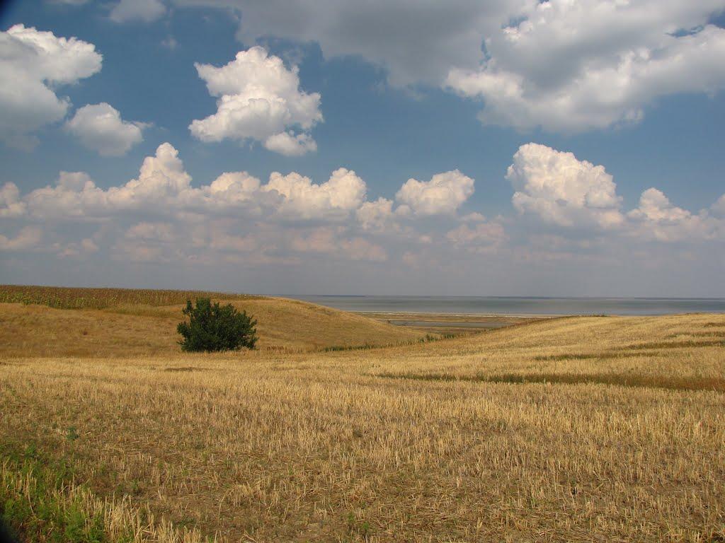 Шелюги з panoramio.com - Шелюги