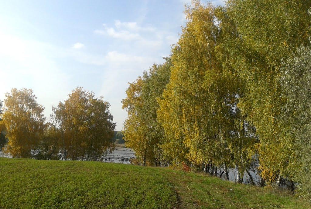 Блощинці з panoramio.com - Bloschyntsi