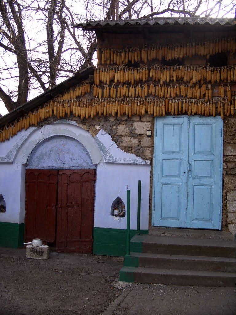 Новокрасне з panoramio.com - Новокрасное