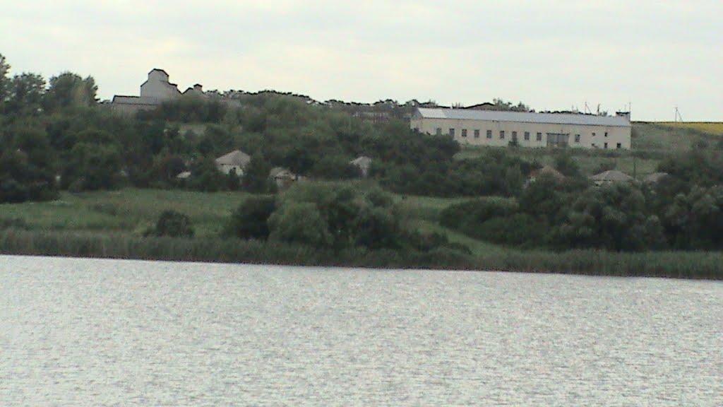 Куземівка з panoramio.com - Куземівка