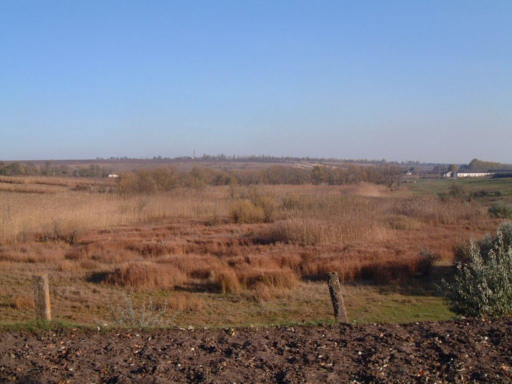 Новий Стародуб з panoramio.com - Новий Стародуб