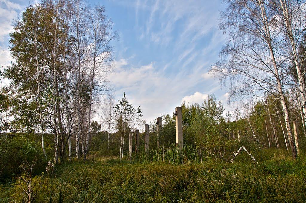 Старий Салтів з panoramio.com - Старий Салтів