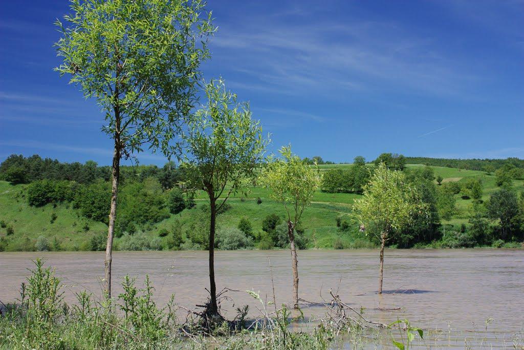 Коропець з panoramio.com - Коропец