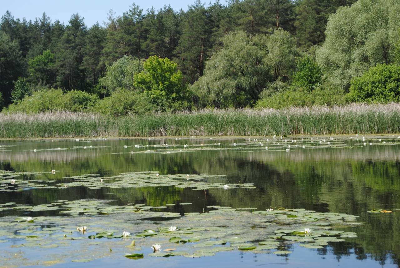 По Сулі - Матвеевка