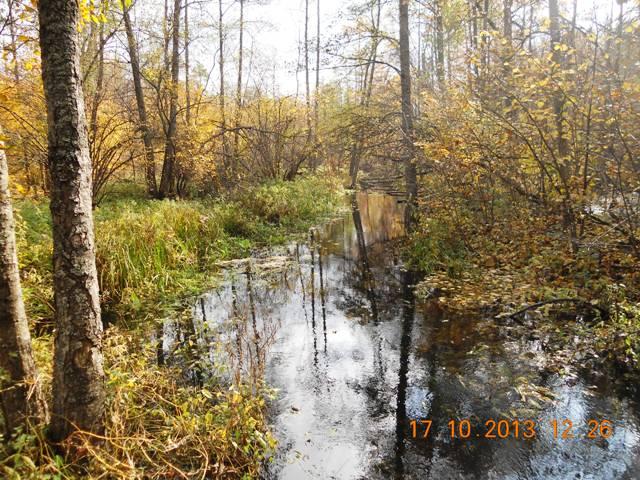 Бондарня з panoramio.com - Бондарня