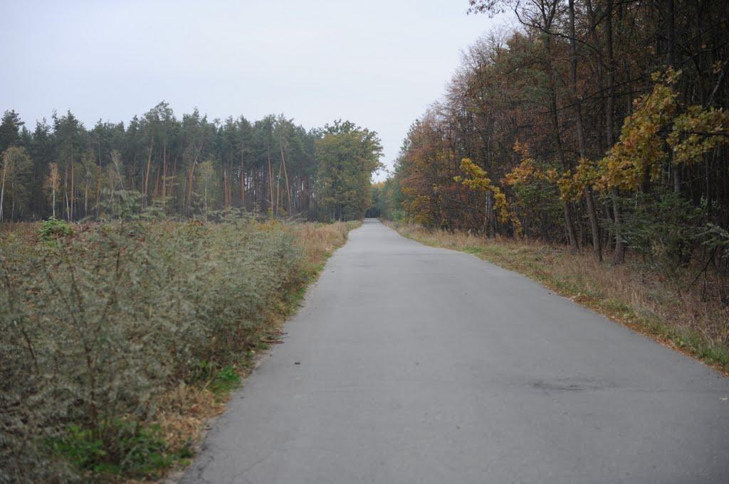 Нехворощ з panoramio.com - Нехворощ