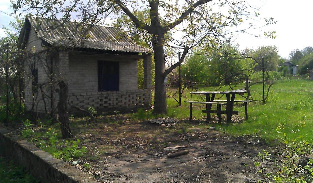 Дніпровське з panoramio.com - Дніпровське