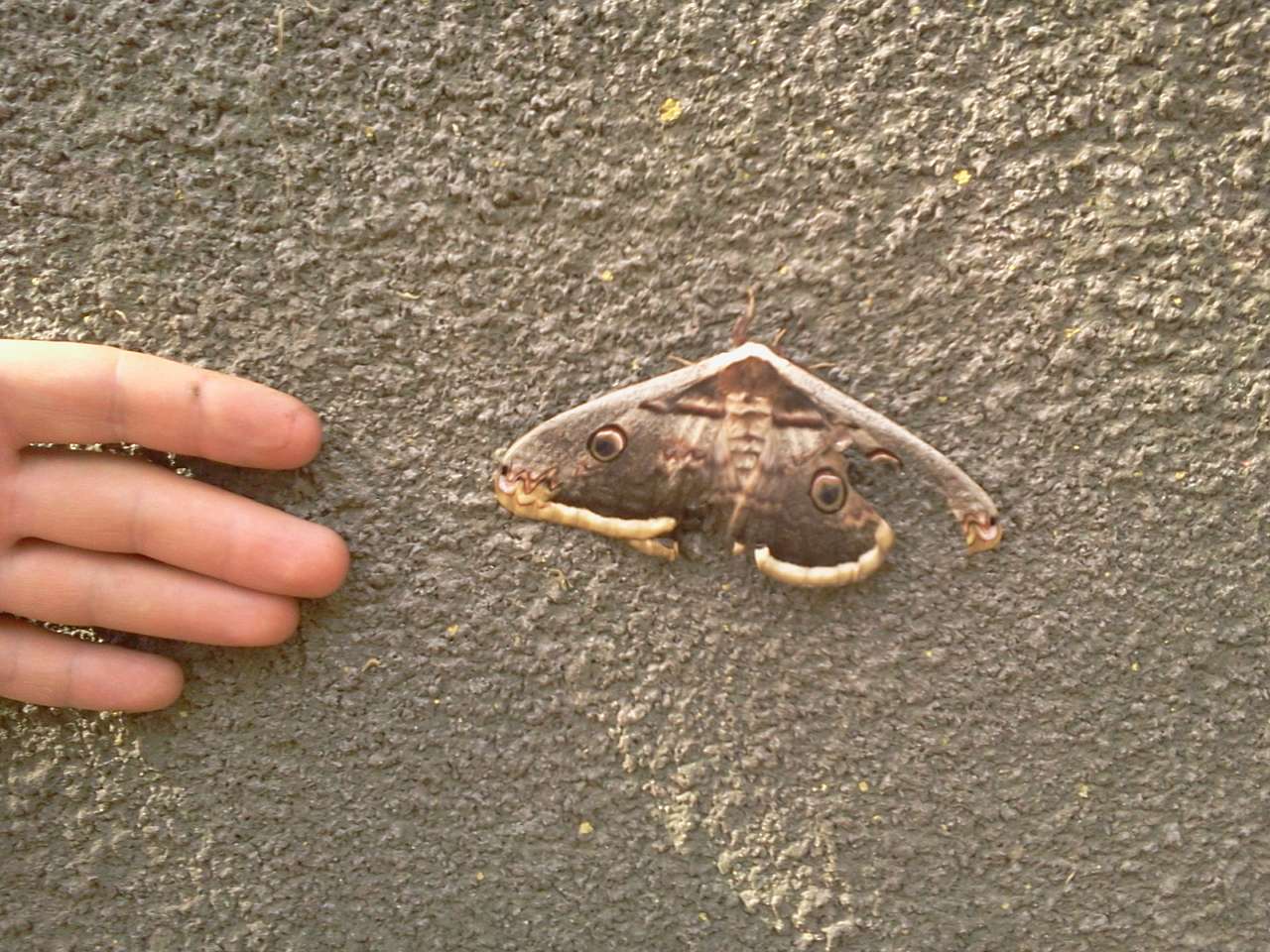 мої фото 2 - Бурилове