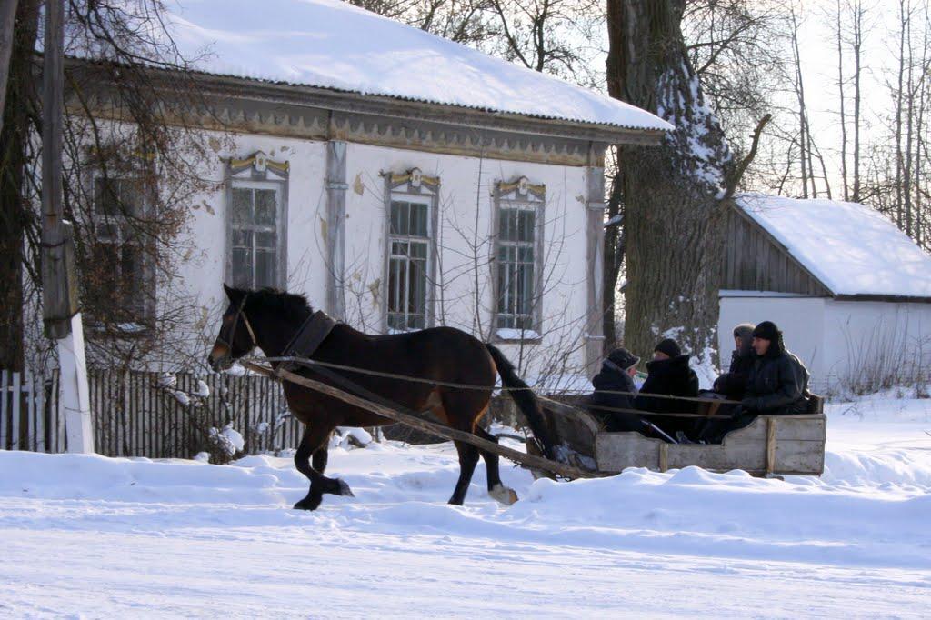 Максимівка з panoramio.com - Максимівка