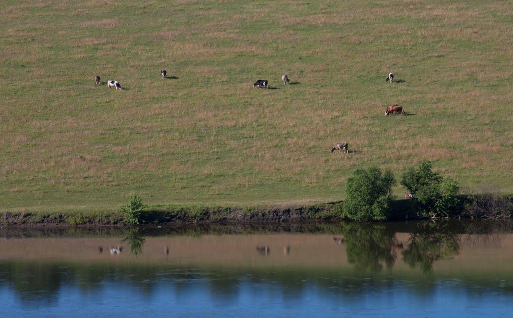 Розкопане з panoramio.com - Розкопане