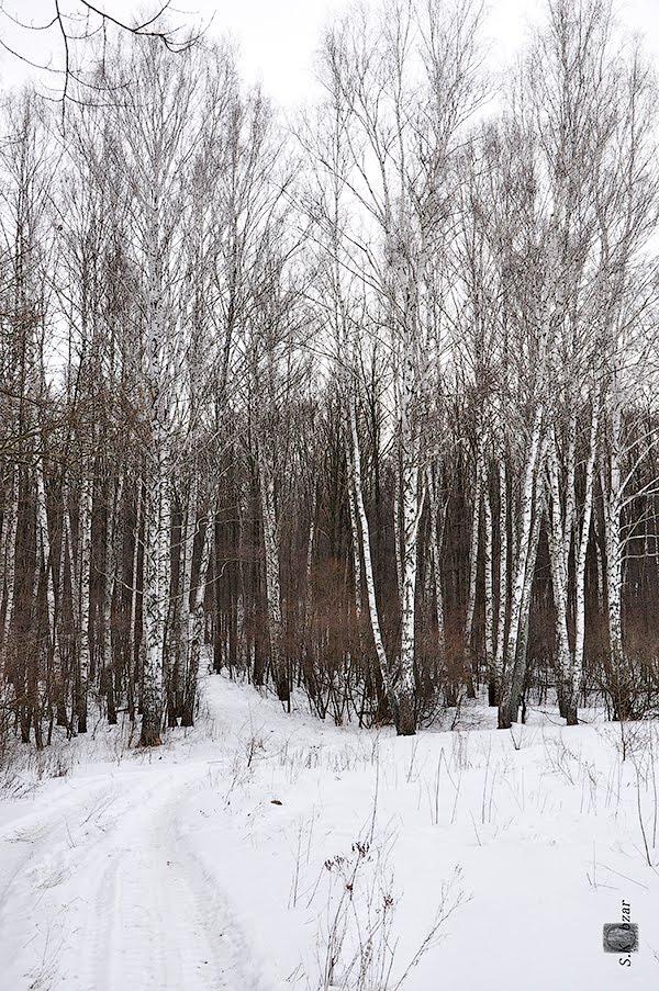 Старий Салтів з panoramio.com - Старий Салтів