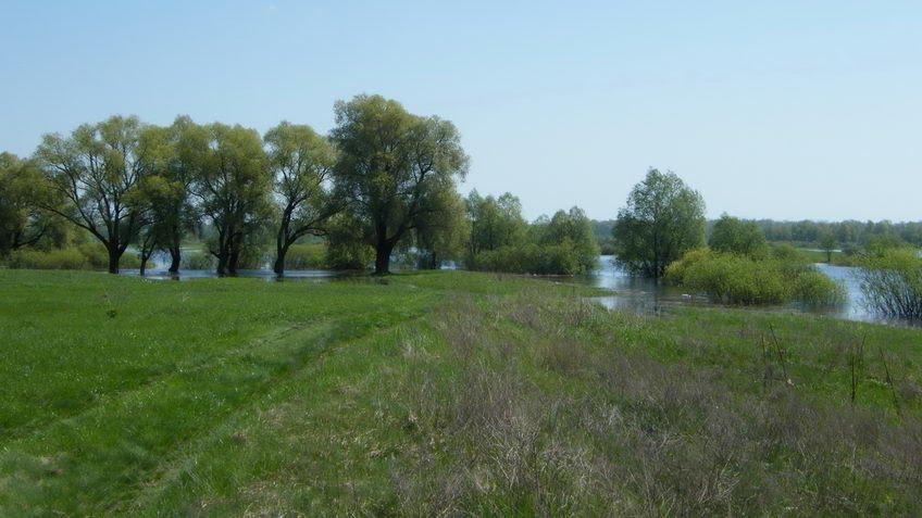 Слабин з panoramio.com - Slabyn