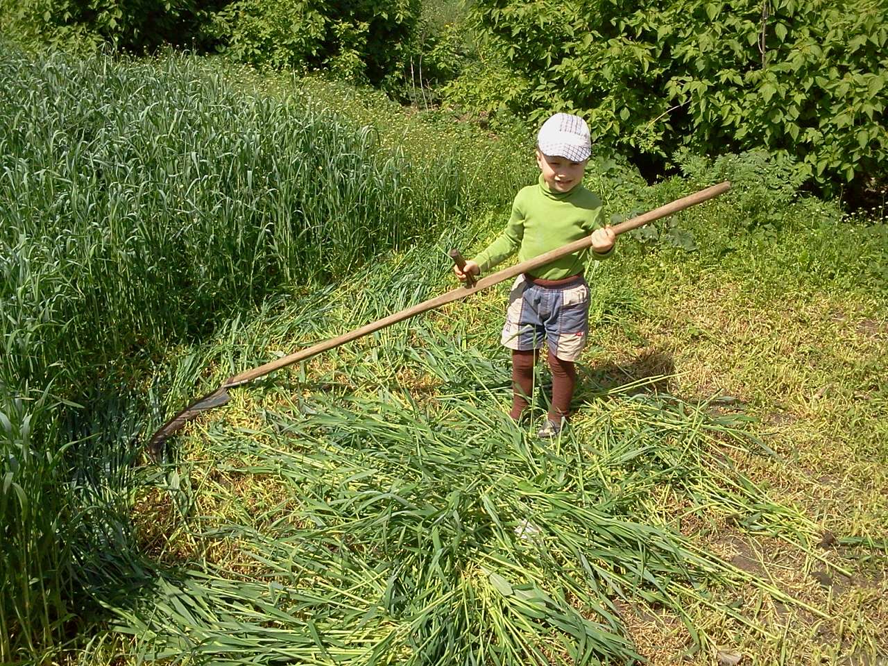 мої фото 2 - Бурилове