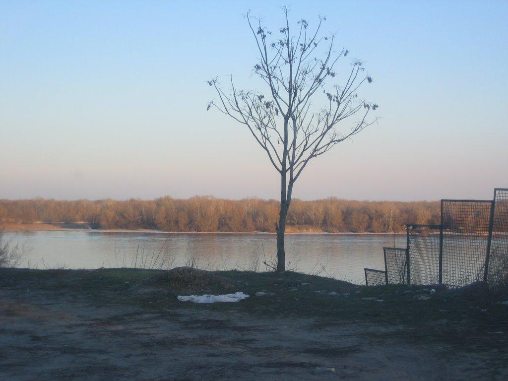 Канівське з panoramio.com - Каневское