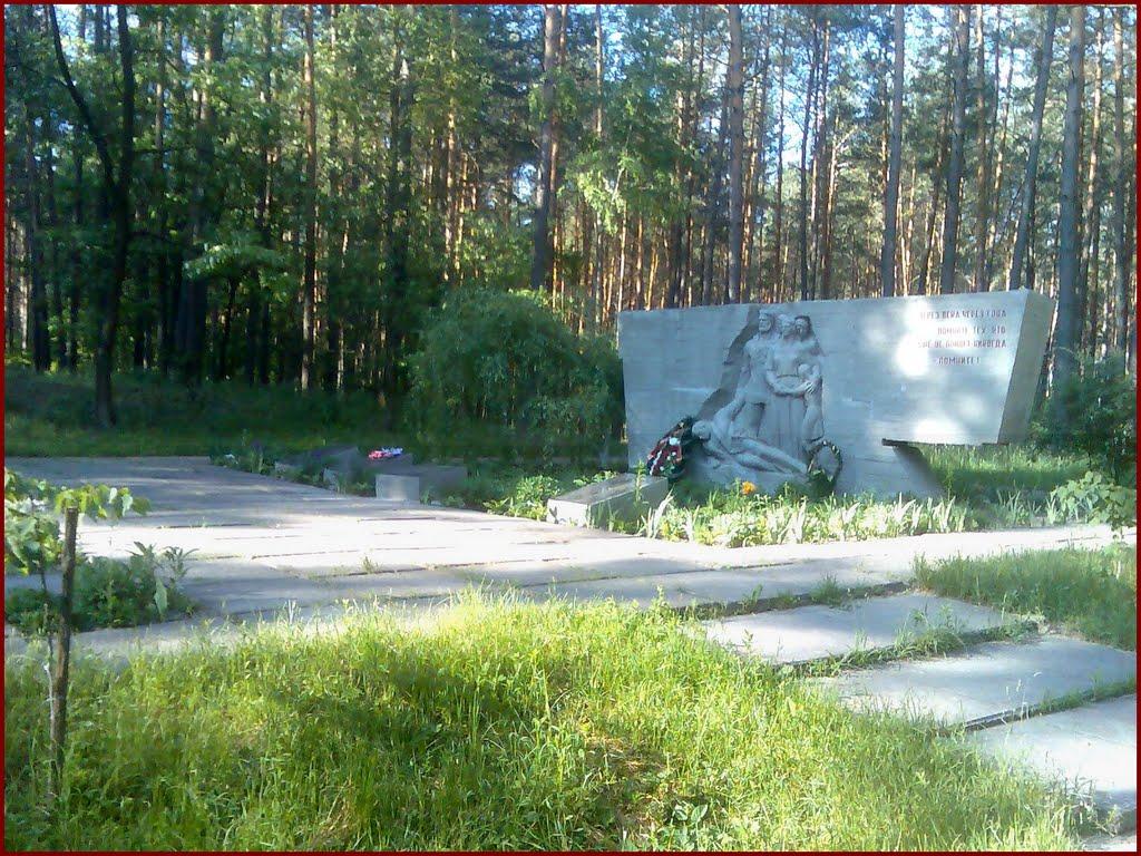 Глухів з panoramio.com - Глухов
