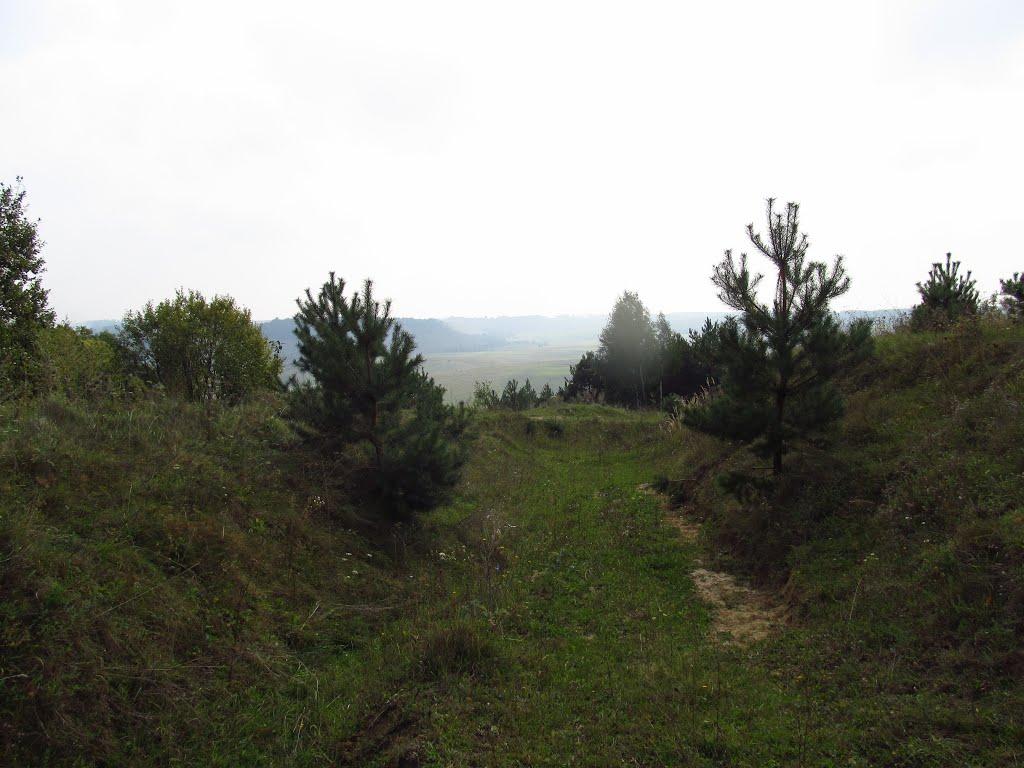 Крутнів з panoramio.com - Крутнів