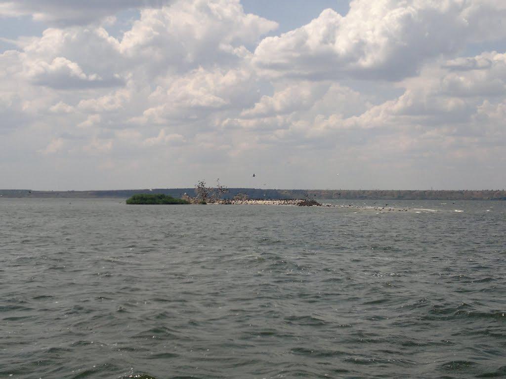 Галицинове з panoramio.com - Галициново